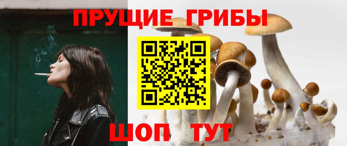 Псилоцибиновые грибы мухоморы  Вход с VPN  Галлюциногенные грибы GOLDEN TEACHER  Саранск 